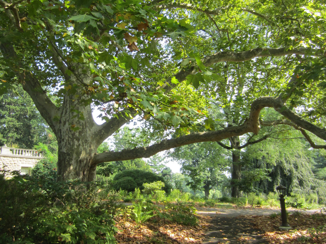 Stoneleigh: A Natural Garden-Villanova必去景点