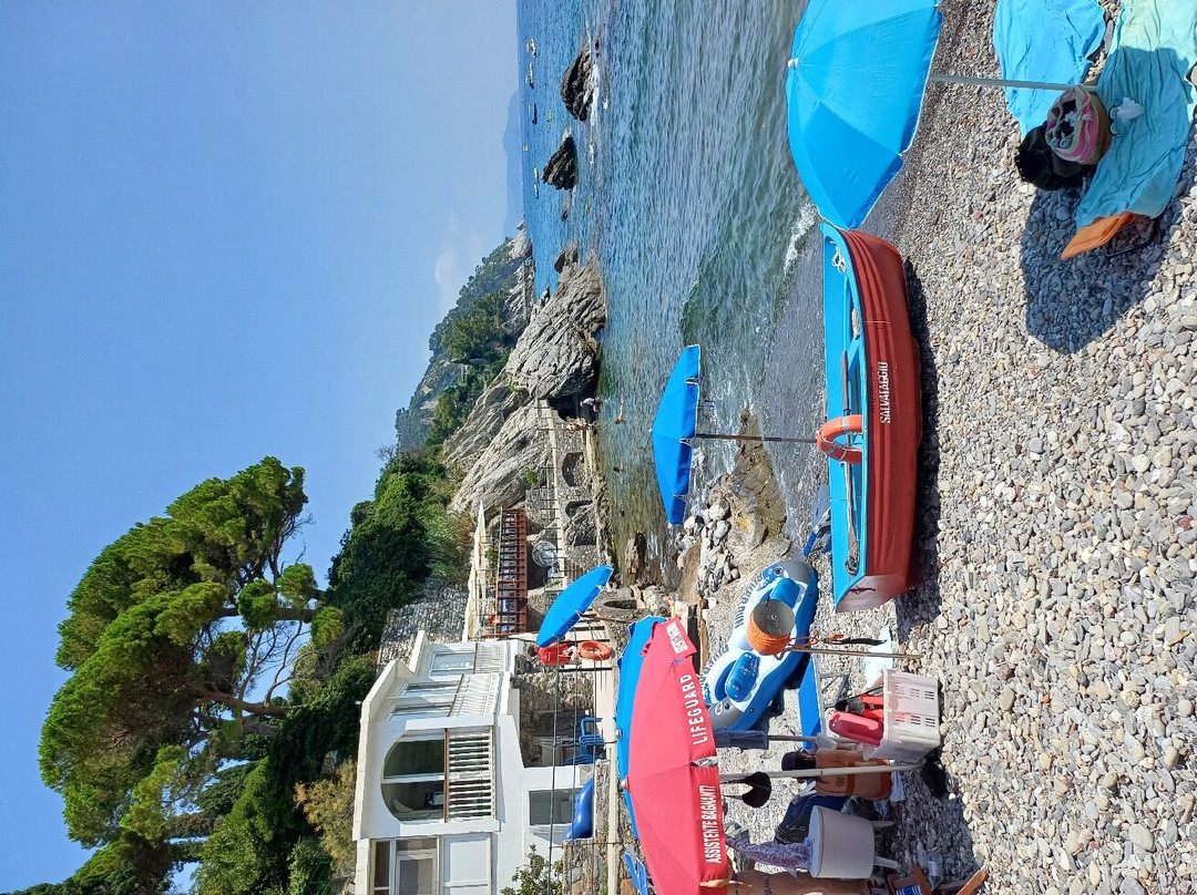 Spiaggia Libera Centrale Di Zoagli-Zoagli必去景点