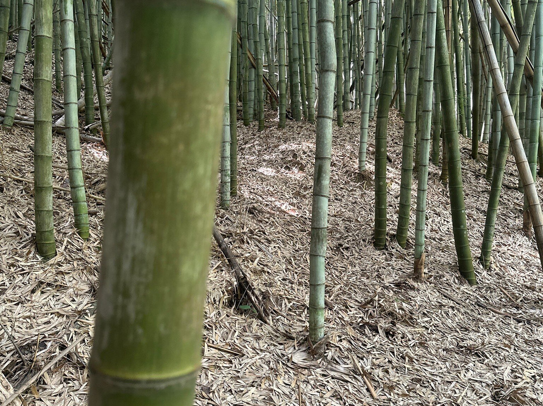 Wilderness Park景点图片