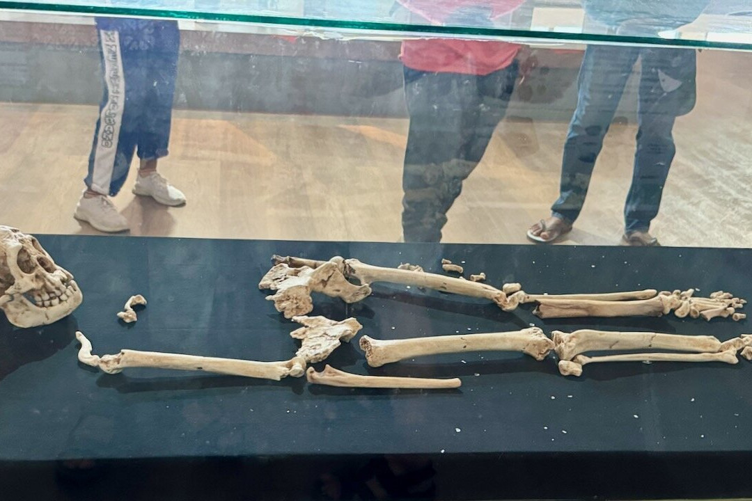 Museum Negeri景点图片