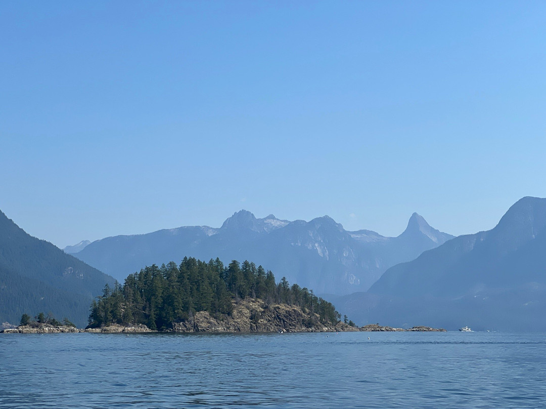 Terracentric Coastal Adventures景点图片