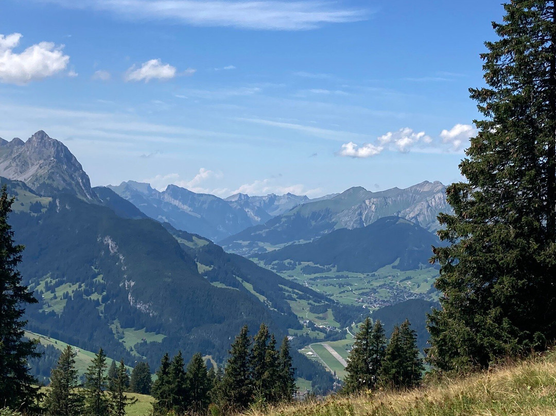 Horneggli - Hornberg - Rinderberg景点图片