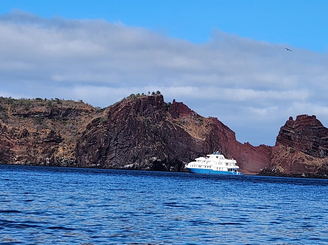 Galapagos Natural Life Tour Operator-加拉帕戈斯群岛必去景点