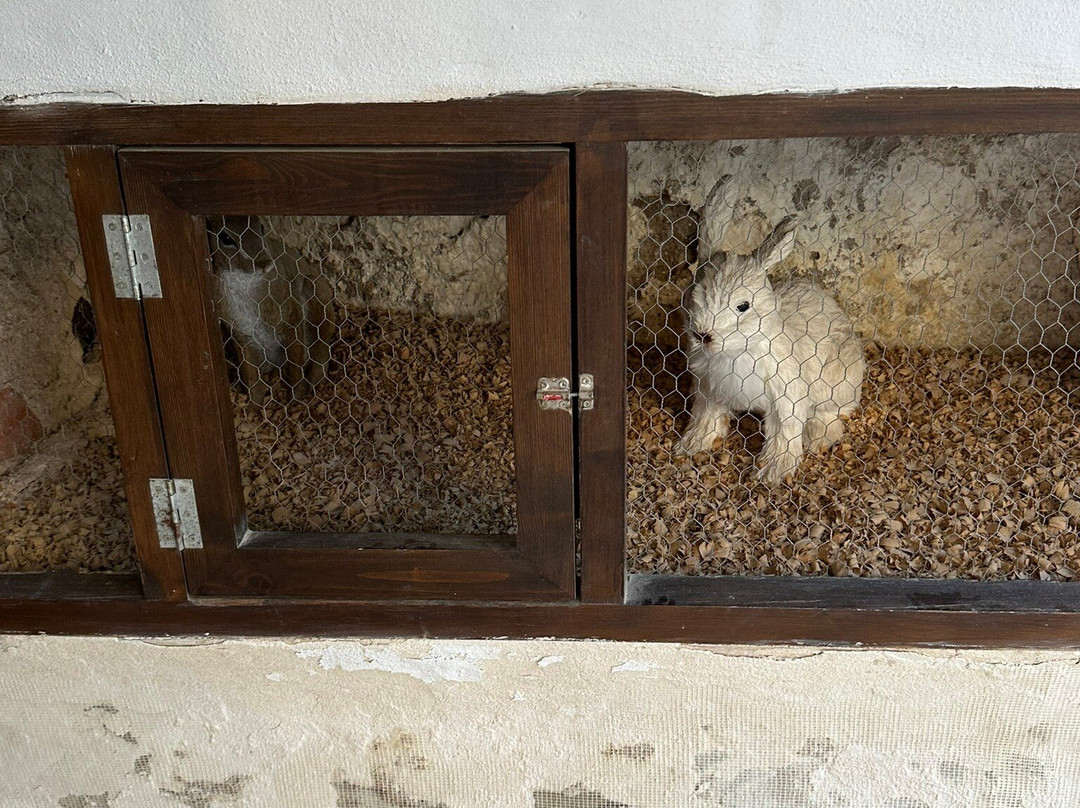Castillo de Alcala del Jucar景点图片