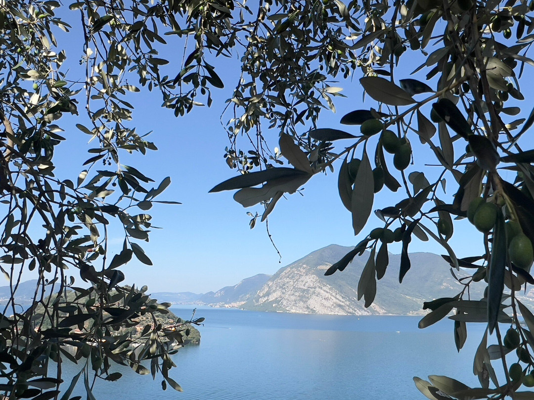 Giardino Marilago景点图片