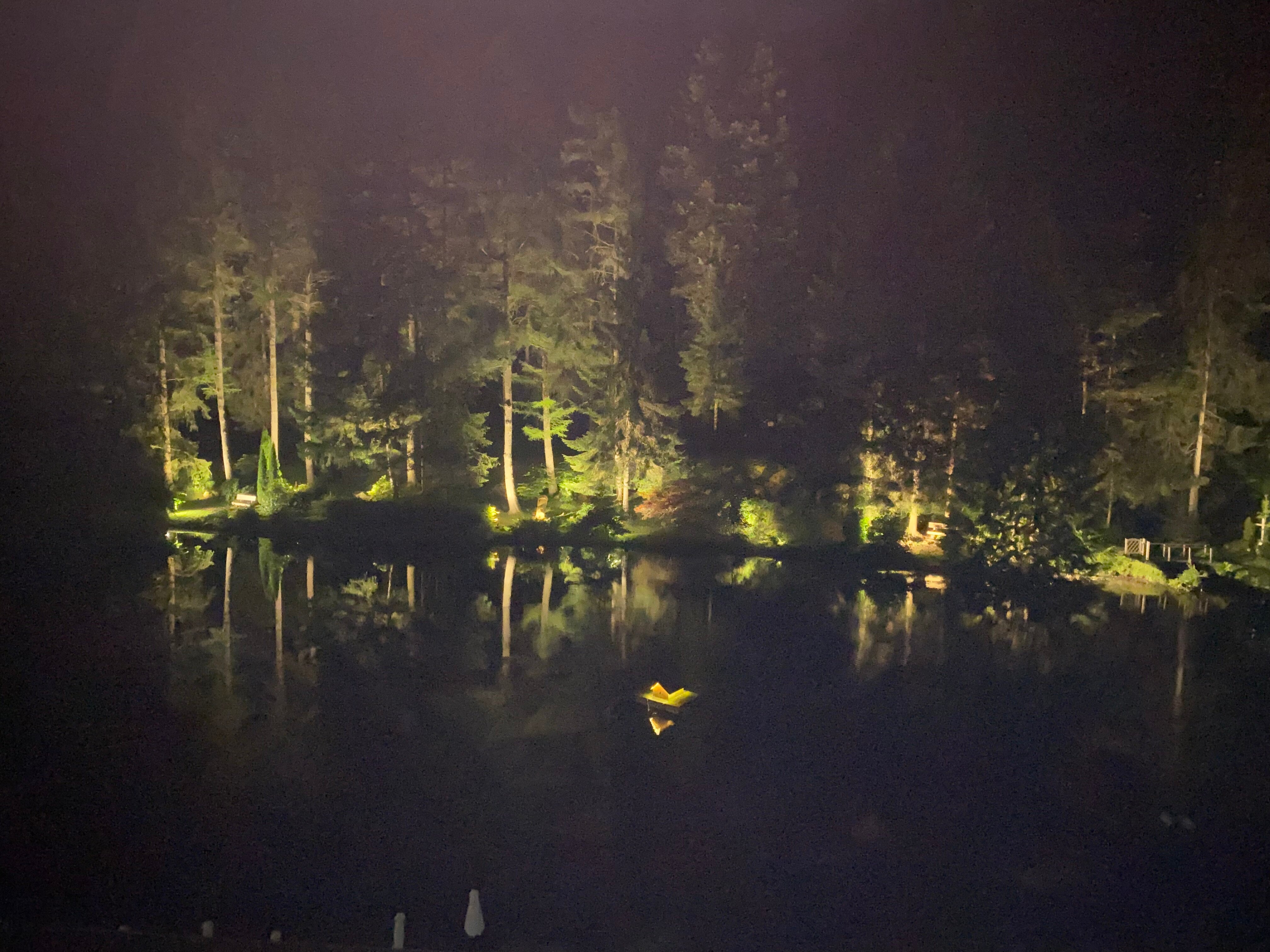 Hotel Langenwaldsee-酒店景观