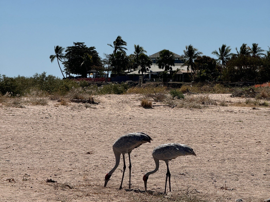 Midnight Emporium-Karumba必去景点