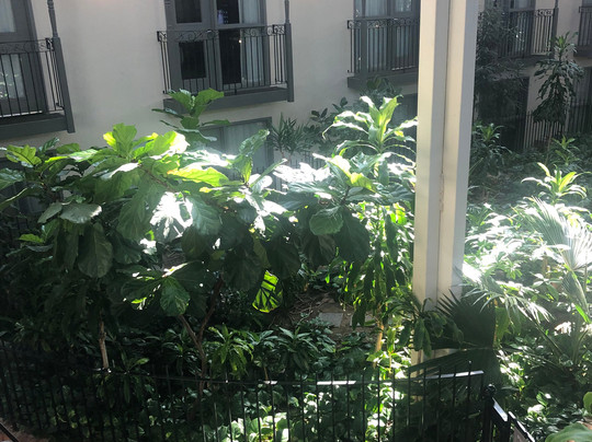 Sandman Signature Lethbridge Lodge主图