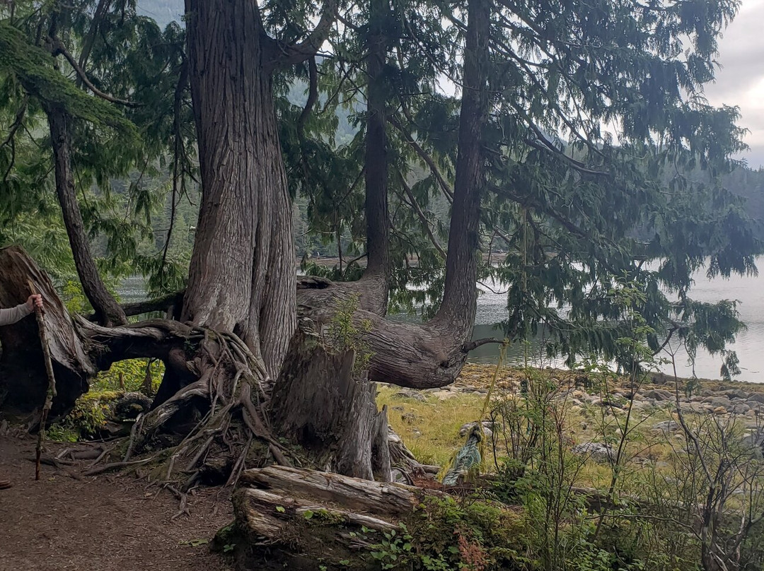 Butze Rapids Park and Trail景点图片