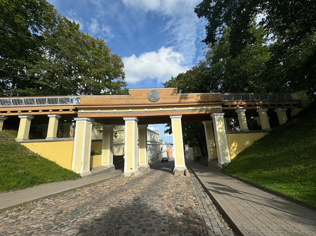 Angel's Bridge (Inglisild)-塔尔图必去景点