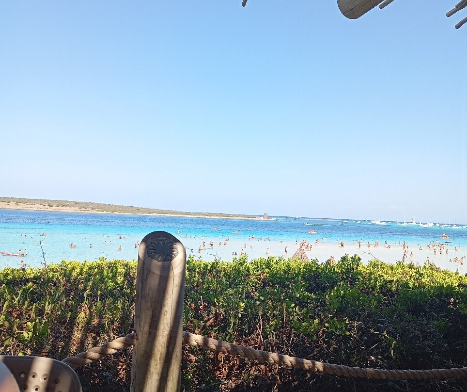 Spiaggia della Pelosetta-斯廷蒂诺必去景点