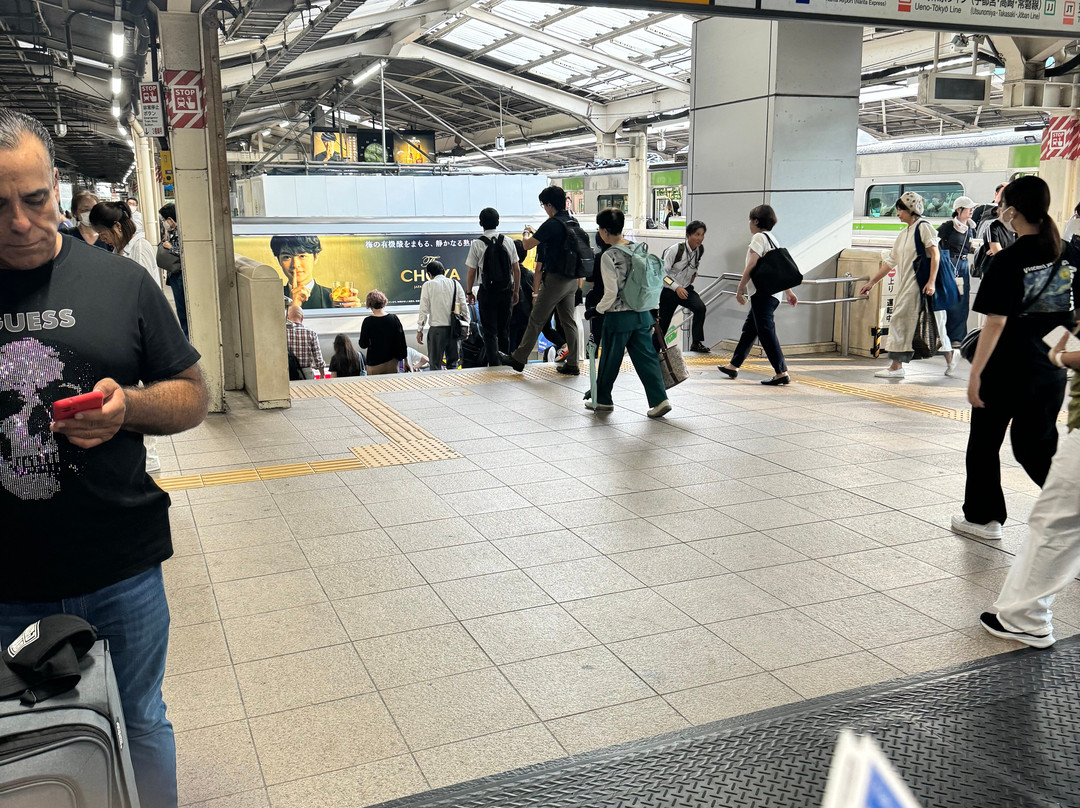 橘通大街-大阪市必去景点