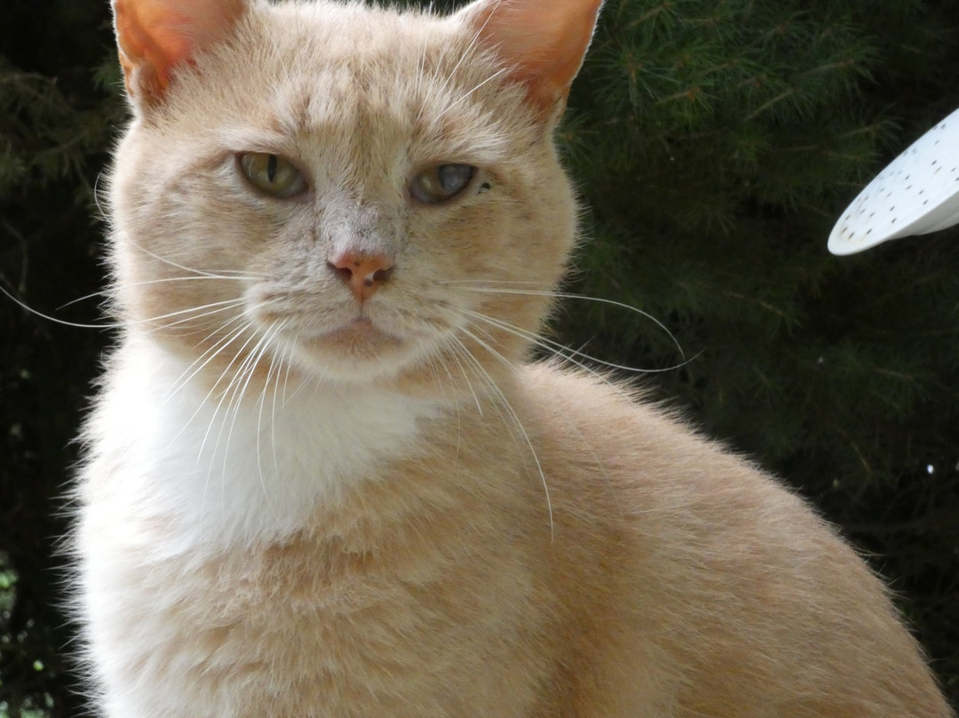 The Duck Smith House Bed & Breakfast主图