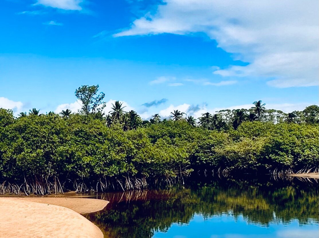 Praia de Guaiu景点图片