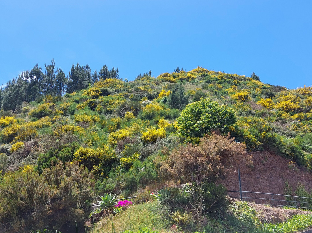 Miradouro Eira do Serrado景点图片