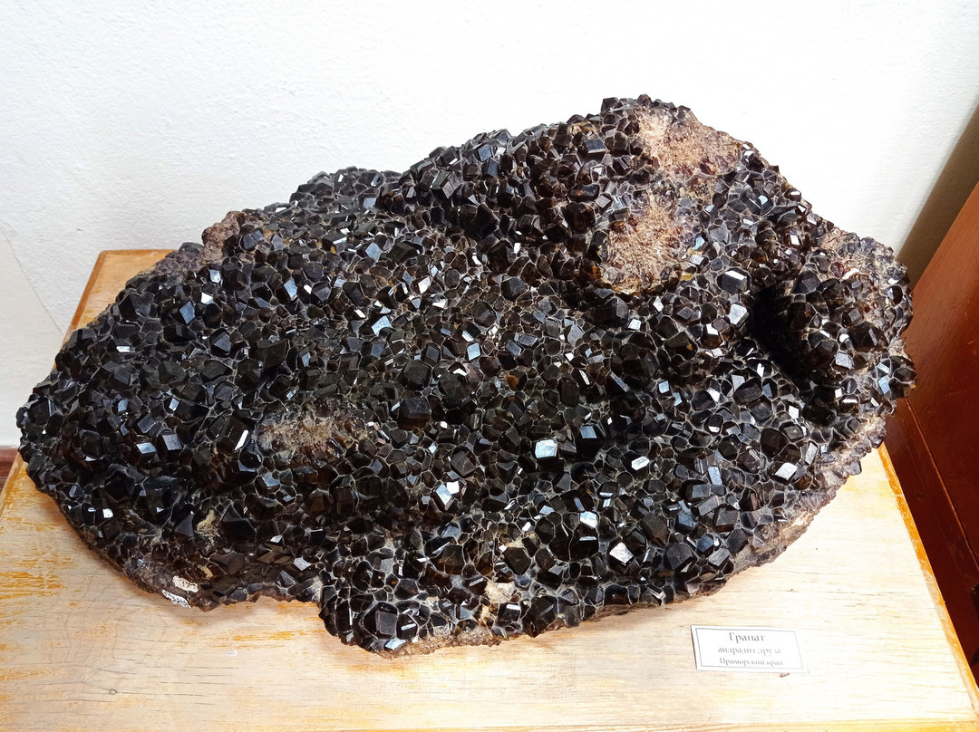 Museum of Geological Collection景点图片