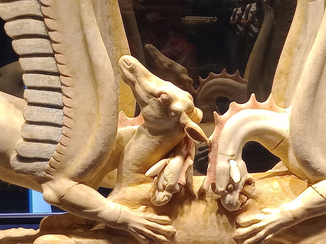 Museo Diocesano景点图片