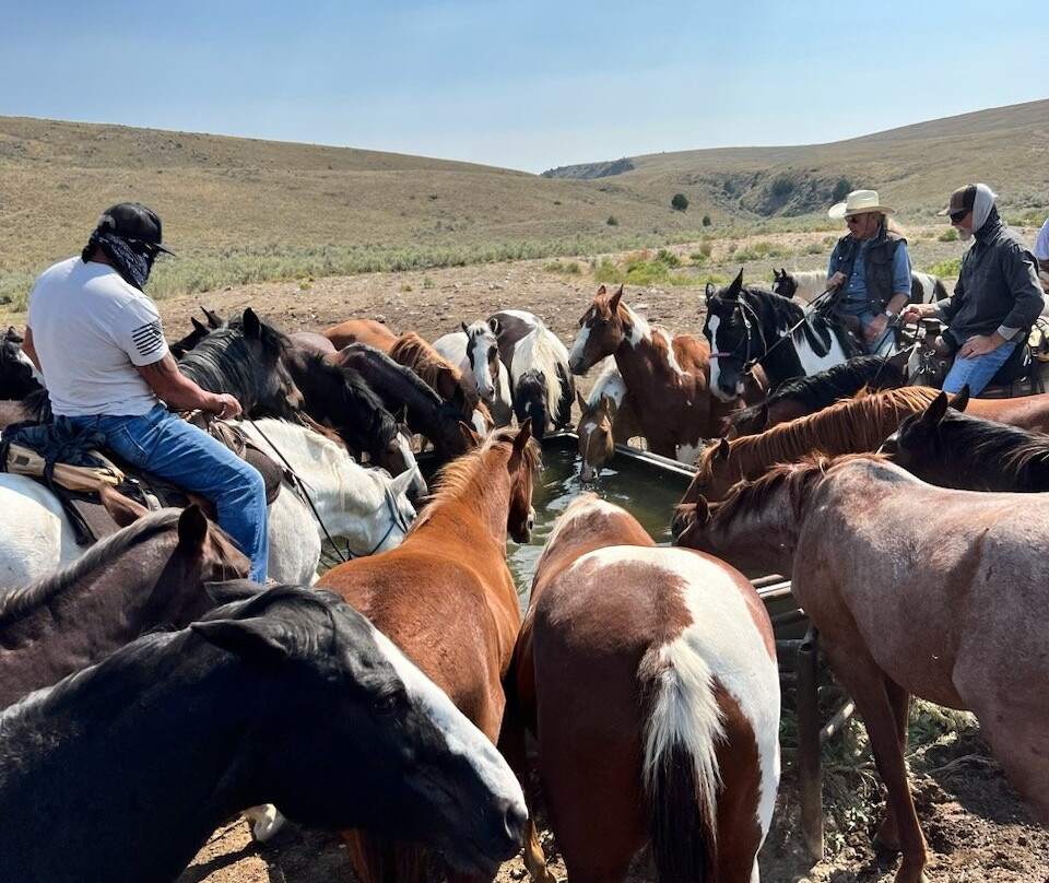 Silver Spur Ranch Idaho景点图片