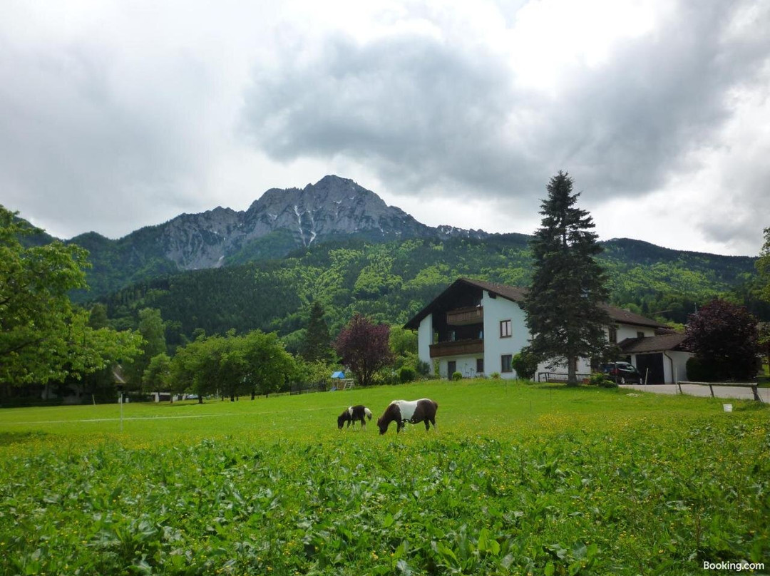 Gaestehaus Binder主图