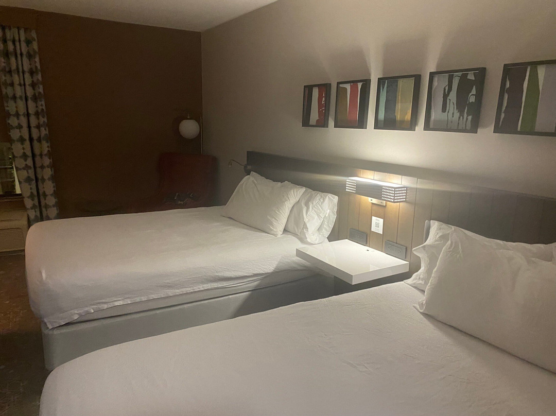 布鲁明顿希尔顿花园旅馆主图