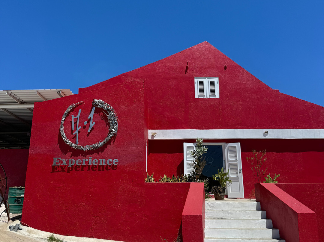 7.1 Experience Art Gallery-威廉斯塔德必去景点