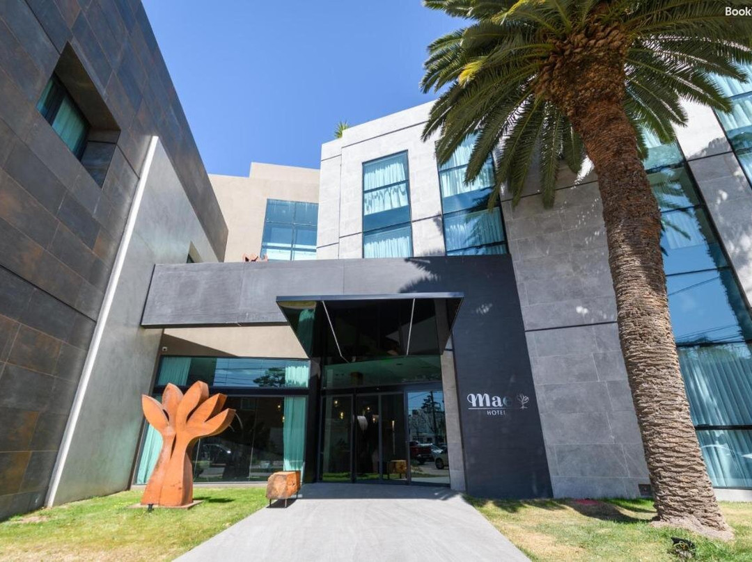 Mae Singular Hotel主图