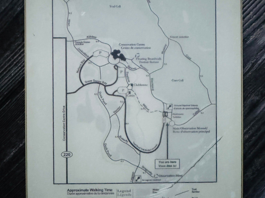 Oak Hammock Marsh Wetland Discovery Centre-Stony Mountain必去景点