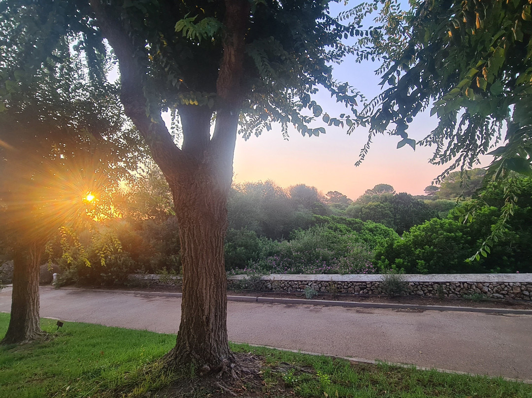 Grupotel Playa Club主图