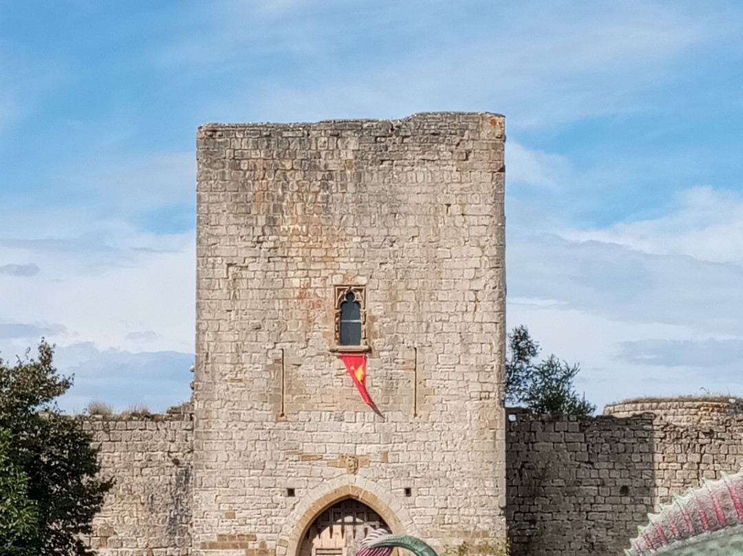 Château de Puivert-Puivert必去景点