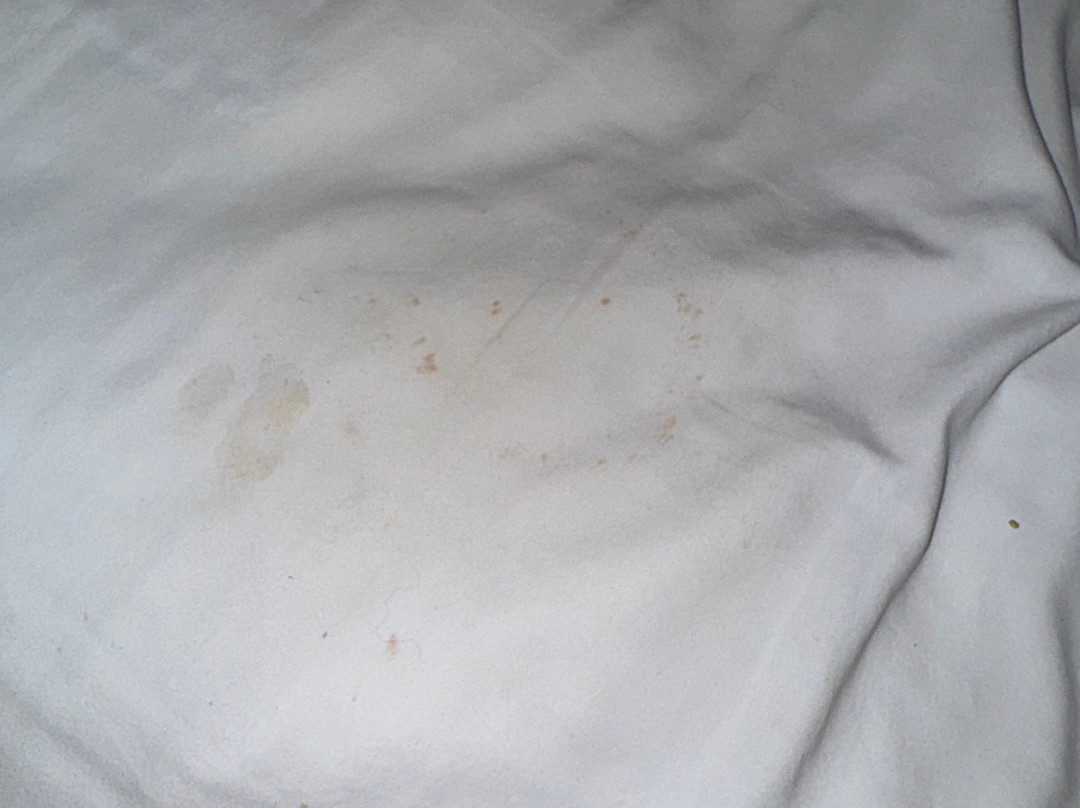 Best Western Plus University Inn主图