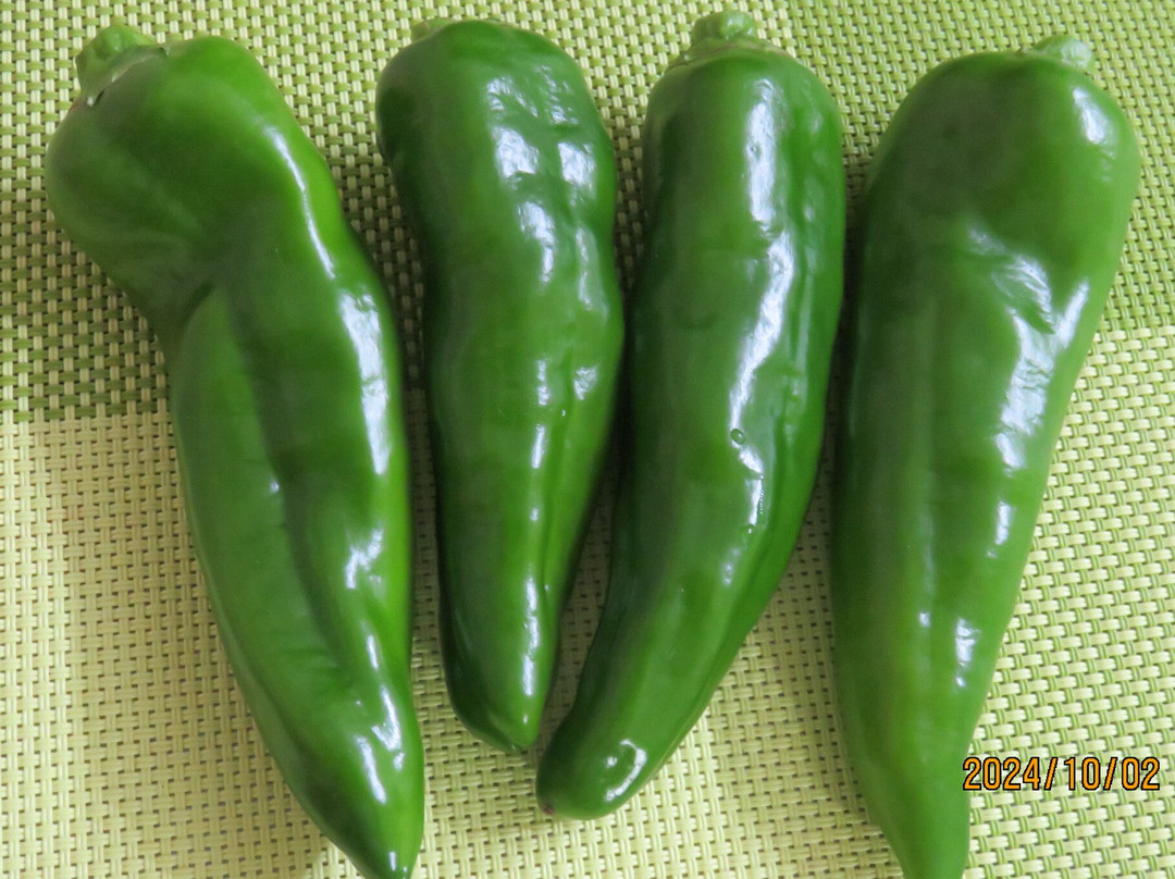 Morning Taking Farm Komago-日高市必去景点