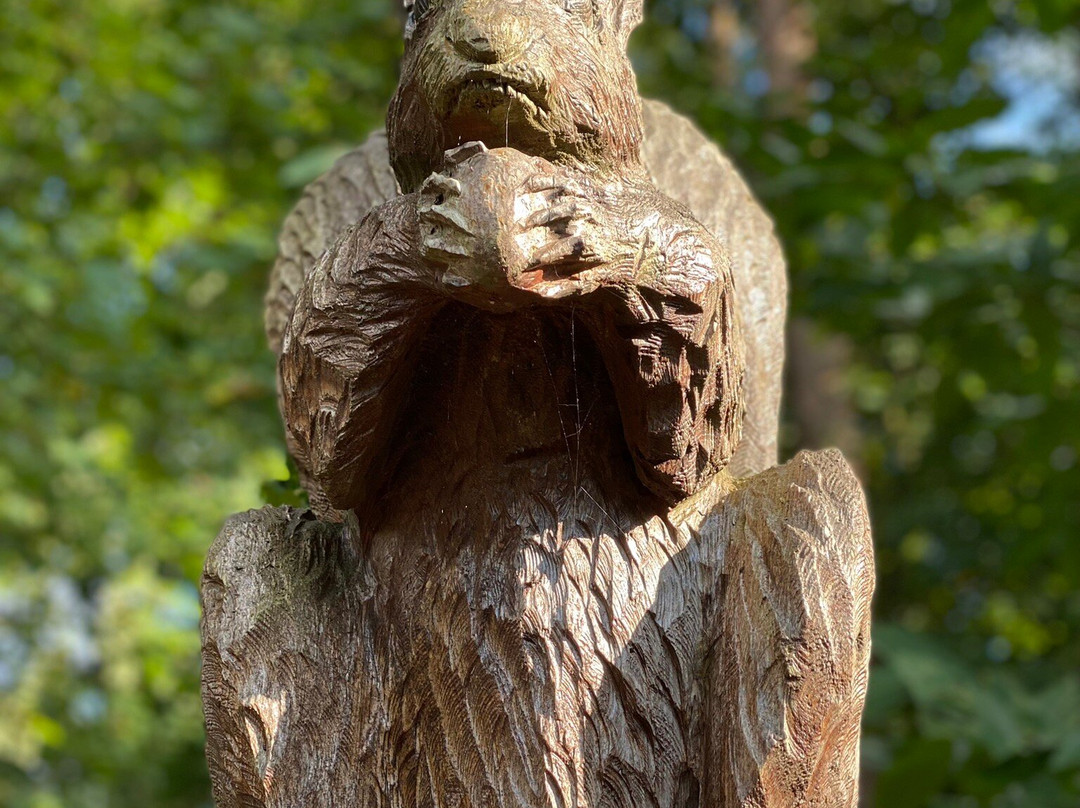 Thetford Forest Park景点图片