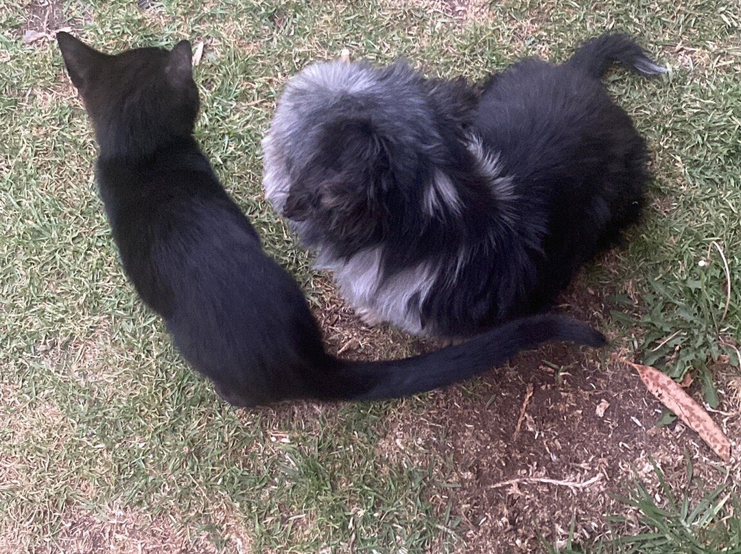 Hospedaje San Alejandro主图