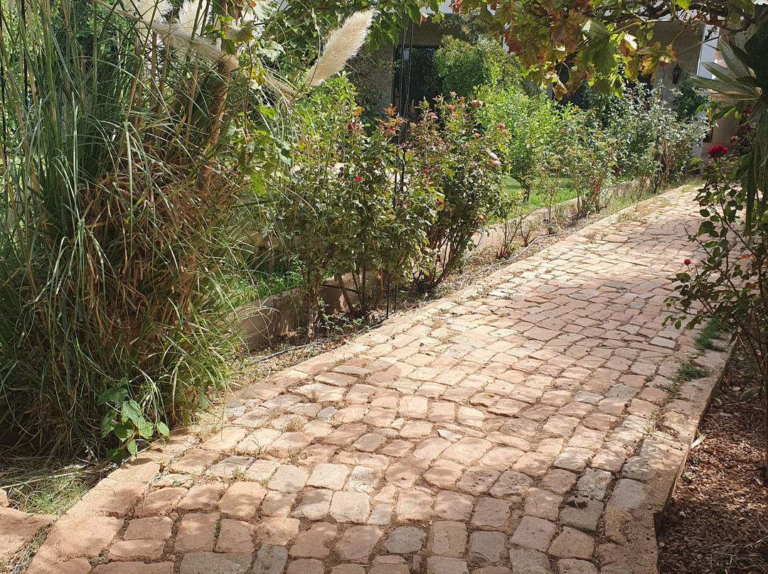 Bio Et Bois Domaine d'hotes主图