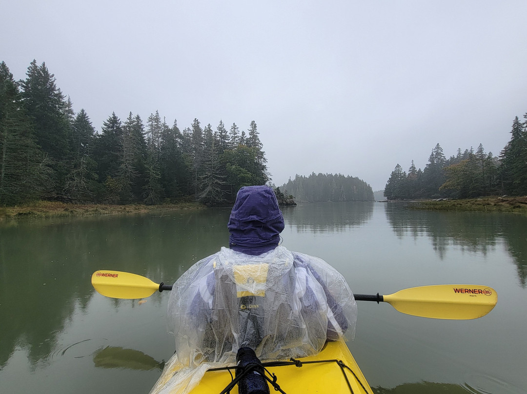 Osprey's Echo Sea Kayaking景点图片