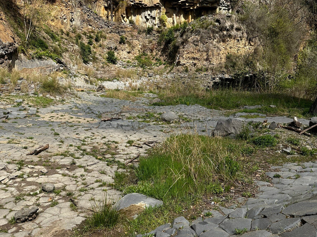 Salt del Moli Fondo景点图片