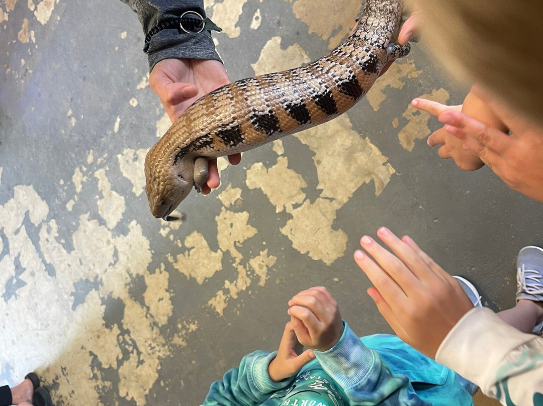Topsail Aquarium景点图片