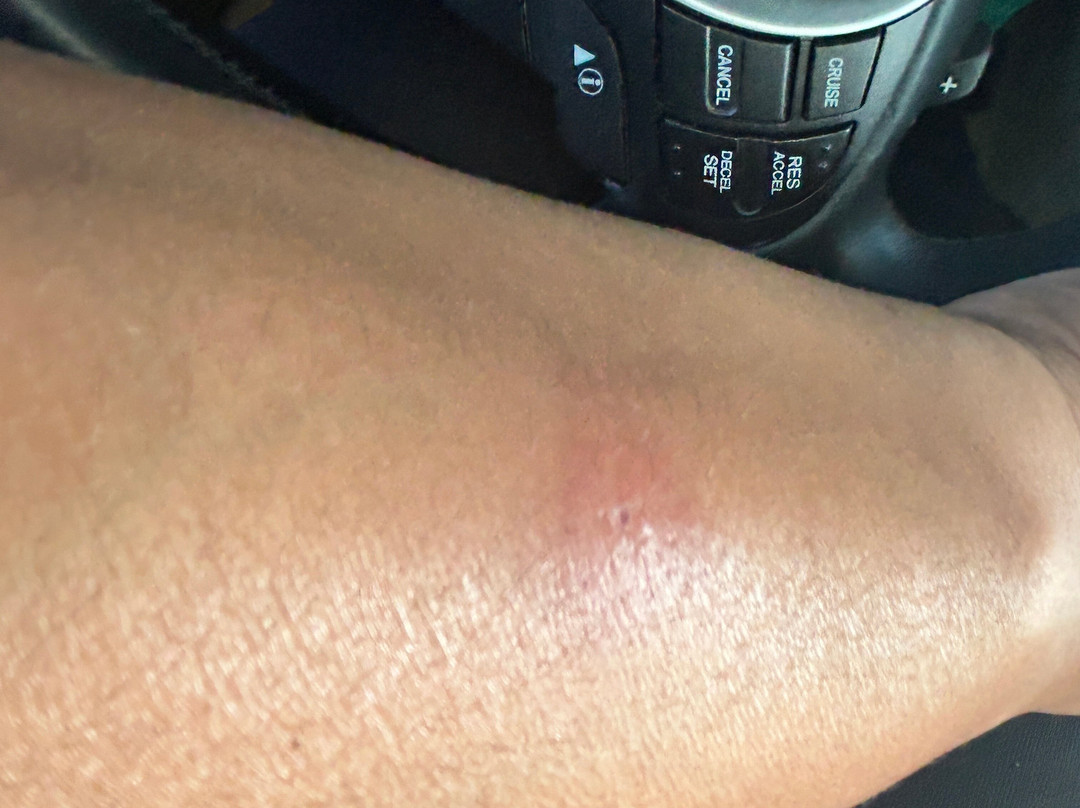 哥伦比亚东北/杰克森堡拉昆塔温德姆酒店主图