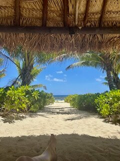 亚萨瓦岛度假村主图