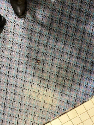 John Hunter Motel主图