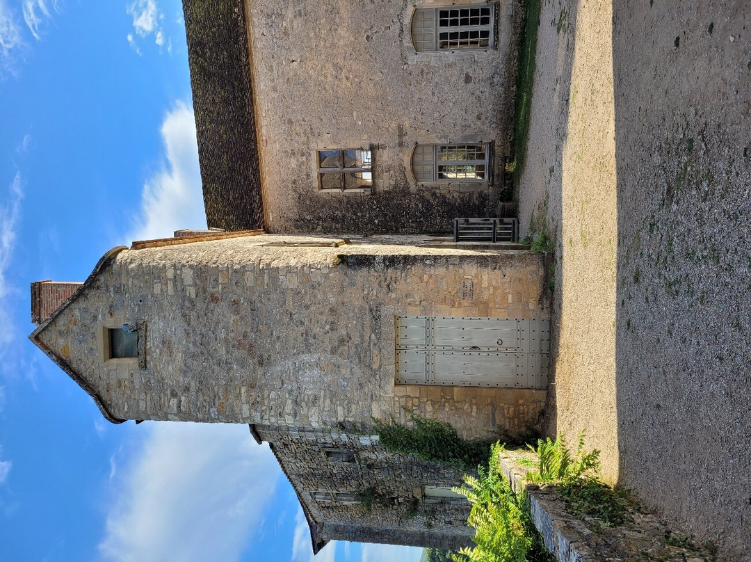 Les Châteaux de Bruniquel景点图片