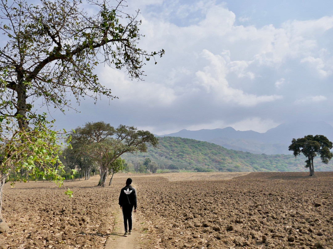 Chikanda Safaris & Adventure-Uyole必去景点