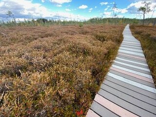 Saco Heath Preserve-萨考必去景点