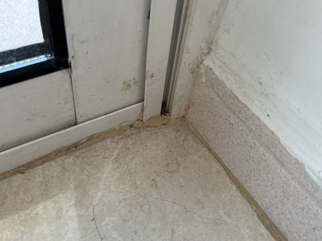 格兰坎普德玛酒店主图