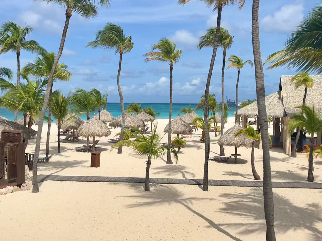 Manchebo Beach Resort & Spa主图