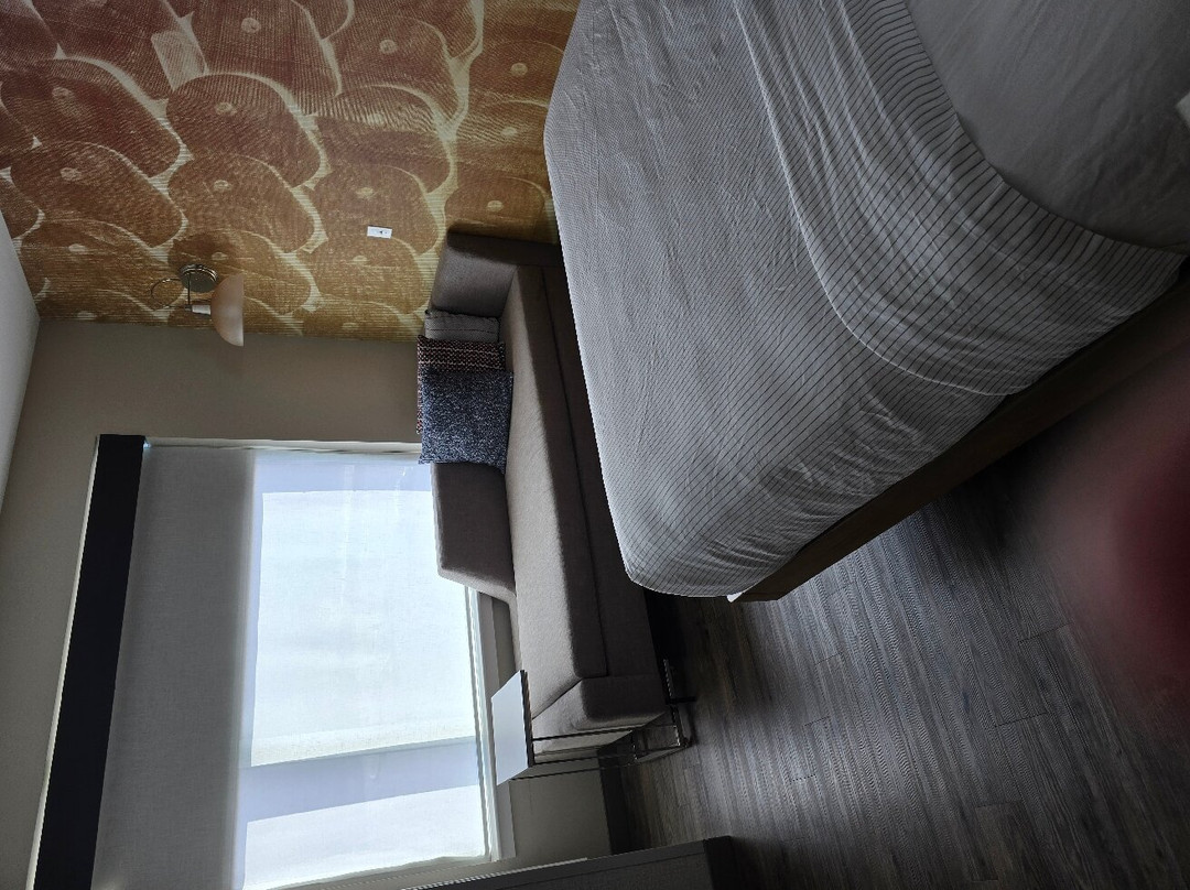 Cambria Hotel Manchester South Windsor主图