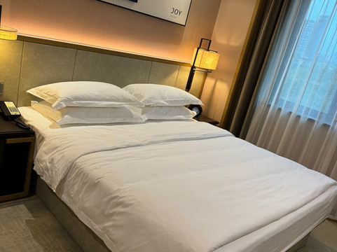 嘉海大酒店主图