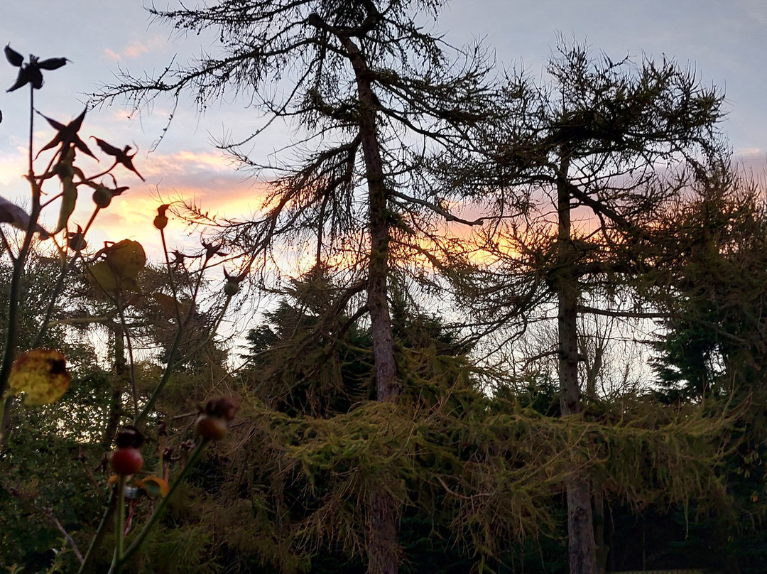 The Cottage Inn主图