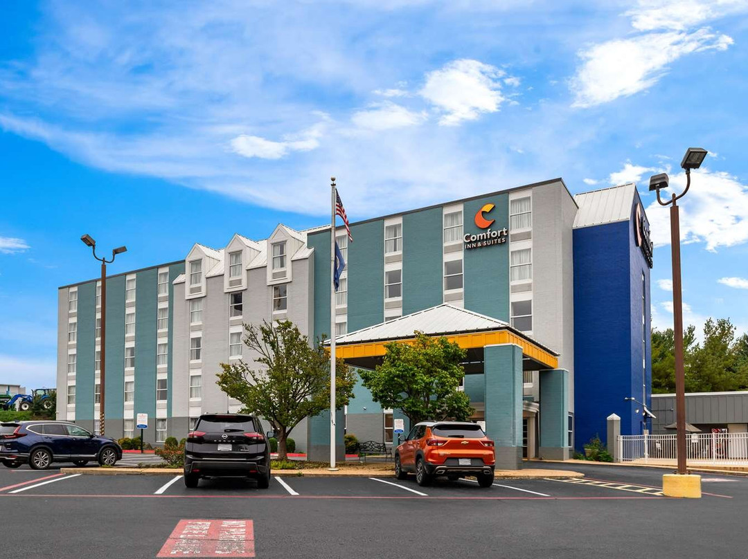 斯汤顿酒店住宿-Comfort Inn & Suites Staunton
