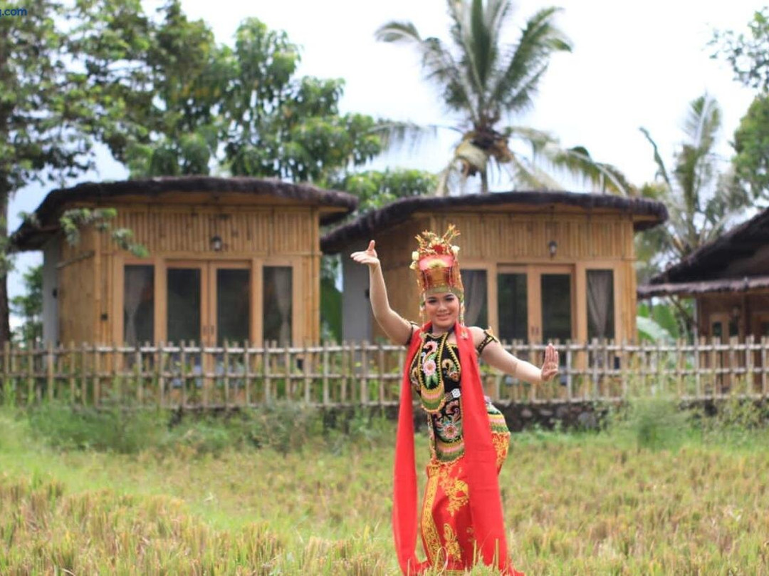 Sawah Ijen & Guest House